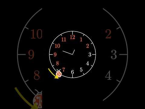 The ladybug clock puzzle