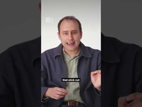 How did dinosaurs get so big? | Steve Brusatte