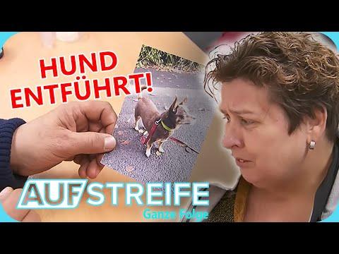 Erpresser fordert Lösegeld: Rentnerin verzweifelt um ihren Hund! | Auf Streife - Ganze Folge | SAT.1
