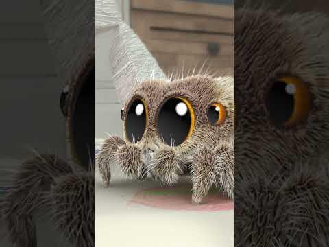 Avocado Speaks Her Truth AGAIN! #lucasthespider #friends