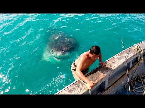 Momente, die kurz vor einer Katastrophe gefilmt wurden