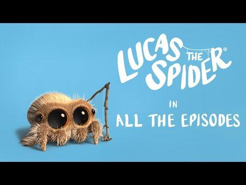 Lucas the Spider LIVE! 🔴 Every Episode Streamed 24/7
