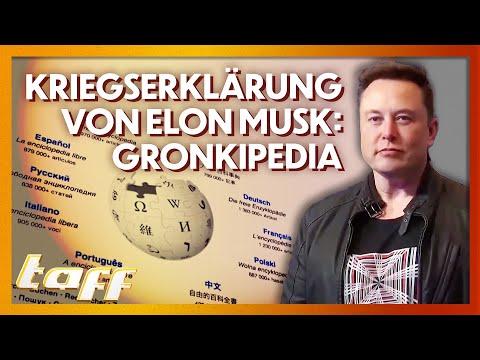 "Grokipedia": Elon Musk gründet KI-Konkurrenz zu Wikipedia
