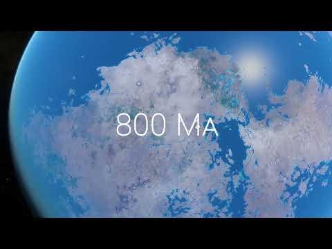 Gondwana | Member Preview #2