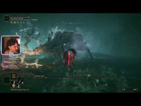 🦩 All Bosses + Random Stats | !packs !cc !discord 🦩