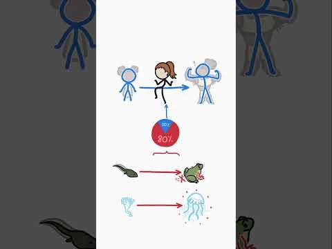 Why do so many animals change their body type?