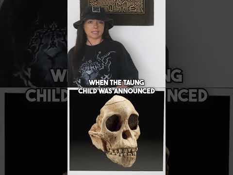 Piltdown Man was a fake? Now, that’s hot gossip! #hominids #paleoanthropology #evolution