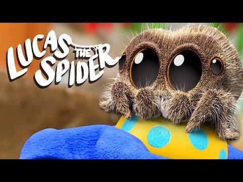 Lucas' Egg Gets STOLEN?!  | Lucas The Spider