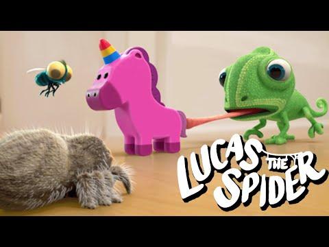 Bodhi and Findley Take Avocado's Squeaky Toy + More Lucas The Spider Videos For Kids