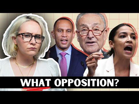 Why Aren't Democrats DOING Anything??