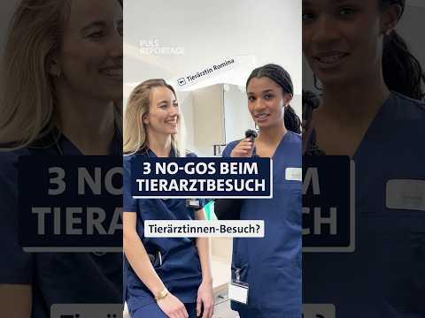 No-Gos für alle Tierbesitzer:innen 🐶❌