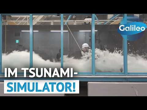 Japans Tsunami-Labor: Überlebe ich die tödliche Welle?