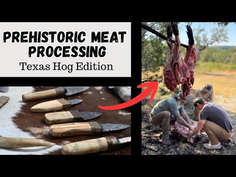 Butchering a Invasive Texas Hog With Stone Tools #survival #flintknapping #texas #butcher #stonetool