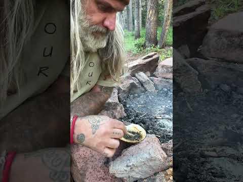 MAKE Pine Pitch Glue #survival #pinepitchglue #survivalskills  #primitiveskills #survivalhacks