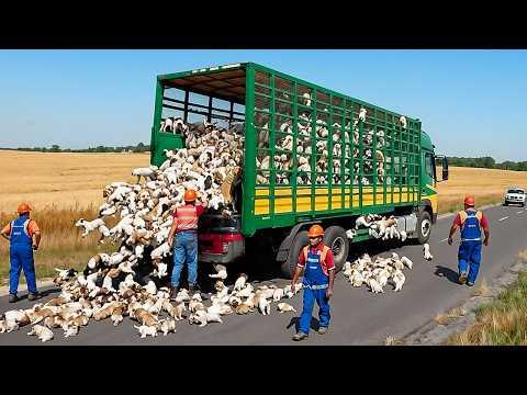 Die lächerlichsten Fehler von Arbeitern, gefilmt mit der Kamera