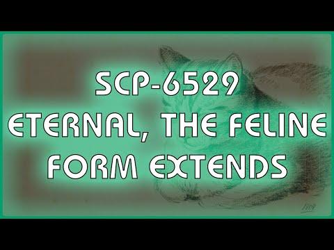 SCP 6529 - Eternal, the Feline Form Extends