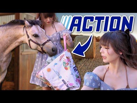 Renn zu ACTION 💨 17 Geheimtipps für Pferde-produkte