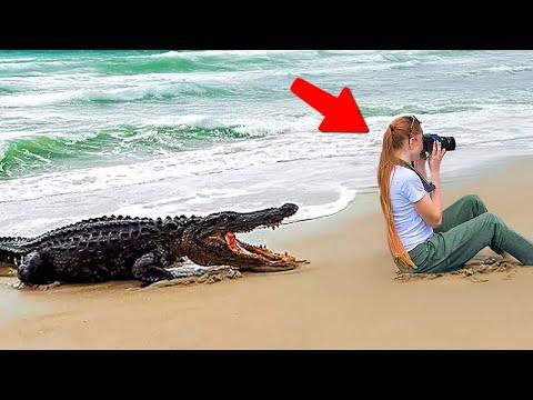 Wilde Tiere überraschen Fotografen auf unerwartete Weise