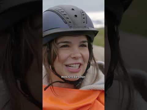 Islandpferde ganz nah! | Anna und die wilden Tiere #pferde #shorts