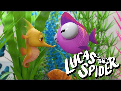 Dimples and Weebiscuit Have a Staring Contest on Lucas the Spider