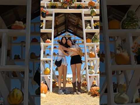 ExtraEmily took me to a pumpkin patch.. 🎃 #mayahiga #extraemily #pumkinpatch #fallseason #shorts