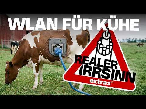 Realer Irrsinn: Dieser Kuhstall in Grabenitz hat Glasfaser | extra 3