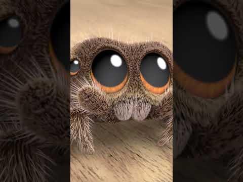 That's One Gnarly Lizard #lucasthespider #gnarly #friends