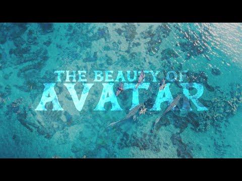 Beauty of Avatar