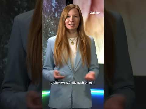 🐨Fingerabdrücke von Menschen und Koalas!