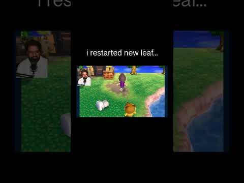 somehow my new leaf town has drama... #animalcrossing