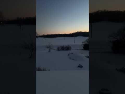 Just a Snowy Evening ❄️