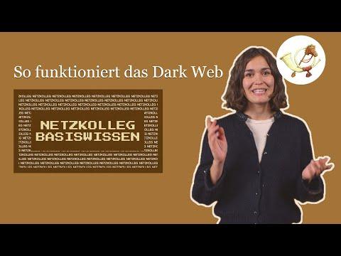 Netzkolleg Basiswissen: Das Darkweb (Grundlagen der Technik - Abiturvorbereitung)