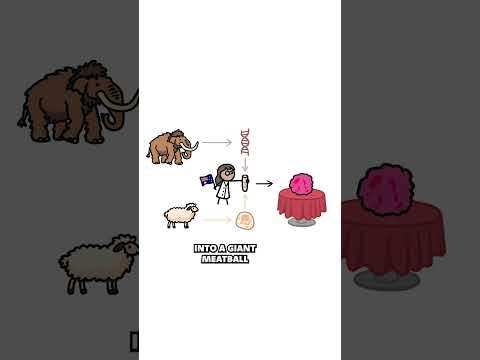 Would you eat Mammoth Meat?