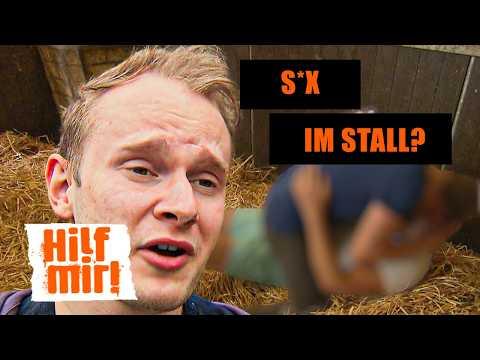 Pferdewirt sucht Hengst 🥵 | Part 2 | Hilf Mir! 😵‍💫 #rtlclassics #468