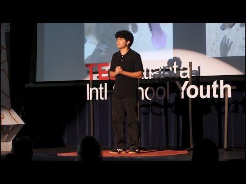 Listening to Ballo: Learning from Stray Dogs in Sri Lanka | Noah Kim | TEDxAtlanta Intl School Youth