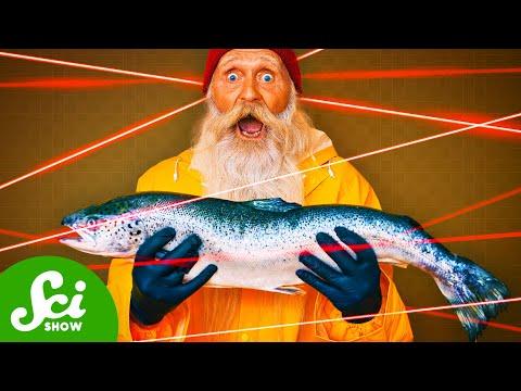 The Wildest Ways We Remove Lice from Salmon