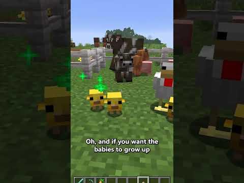 Minecraft's New Tiny Takeover Update! #ad @XboxCanada