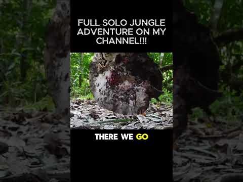 STINGRAY Catch and Cook In Jungle #survival #bushcraft #survivalskills