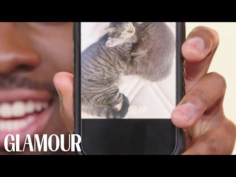 "We're all cat people it's kinda crazy."