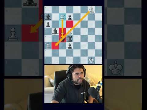 HOW TO MATE YOURSELF