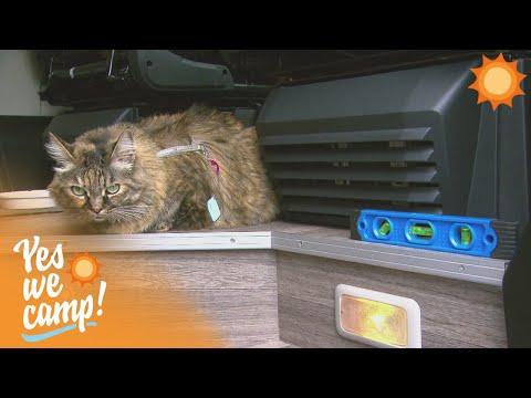 HAARIGE Begleitung! 🐱 Campen mit Katze und Wasserwage | Yes We Camp
