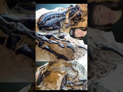 big news for dinosaurs everywhere