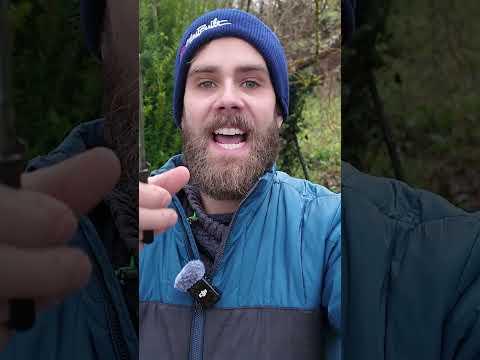 Ernte Trick für Feldsalat im Dezember #Salat #Dezember #Garten