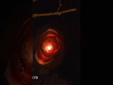 Watch For Free Now! #analoghorror #foundfootage #scpfilm Promo New   4