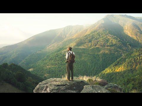 #177 A hike, masonry work, and fully feathered chicks