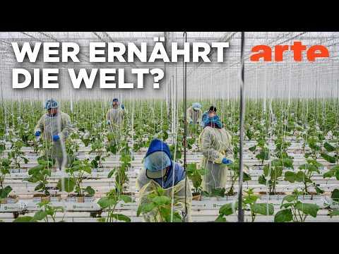 Die Zukunft unseres Essens - Dimensionen der Agrarindustrie (2/2) | Doku HD | ARTE