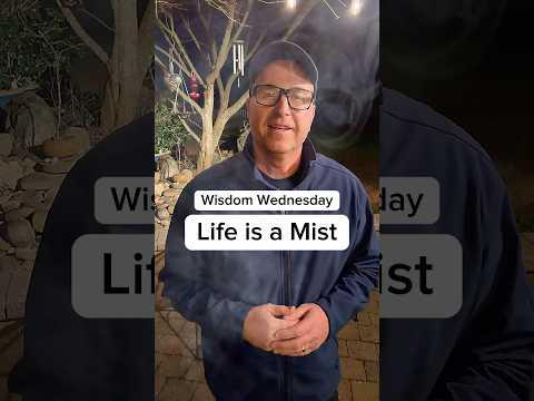 The Illusion of Life: Here Today, Gone Tomorrow