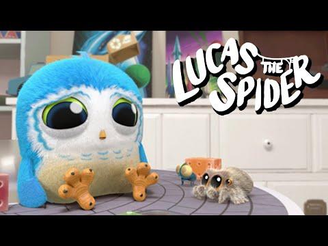 Arlo Has a Hard Time Listening to Lucas the Spider
