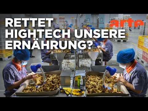 Licht und Schatten von Hightech - Dimensionen der Agrarindustrie (1/2) | Doku HD | ARTE