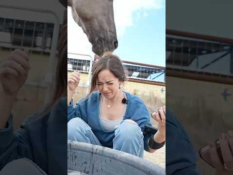 The bestest friend you could have 🐴